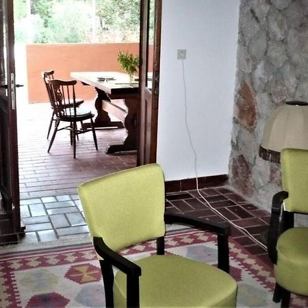 Apartment Maya 斯塔里格勒 外观 照片